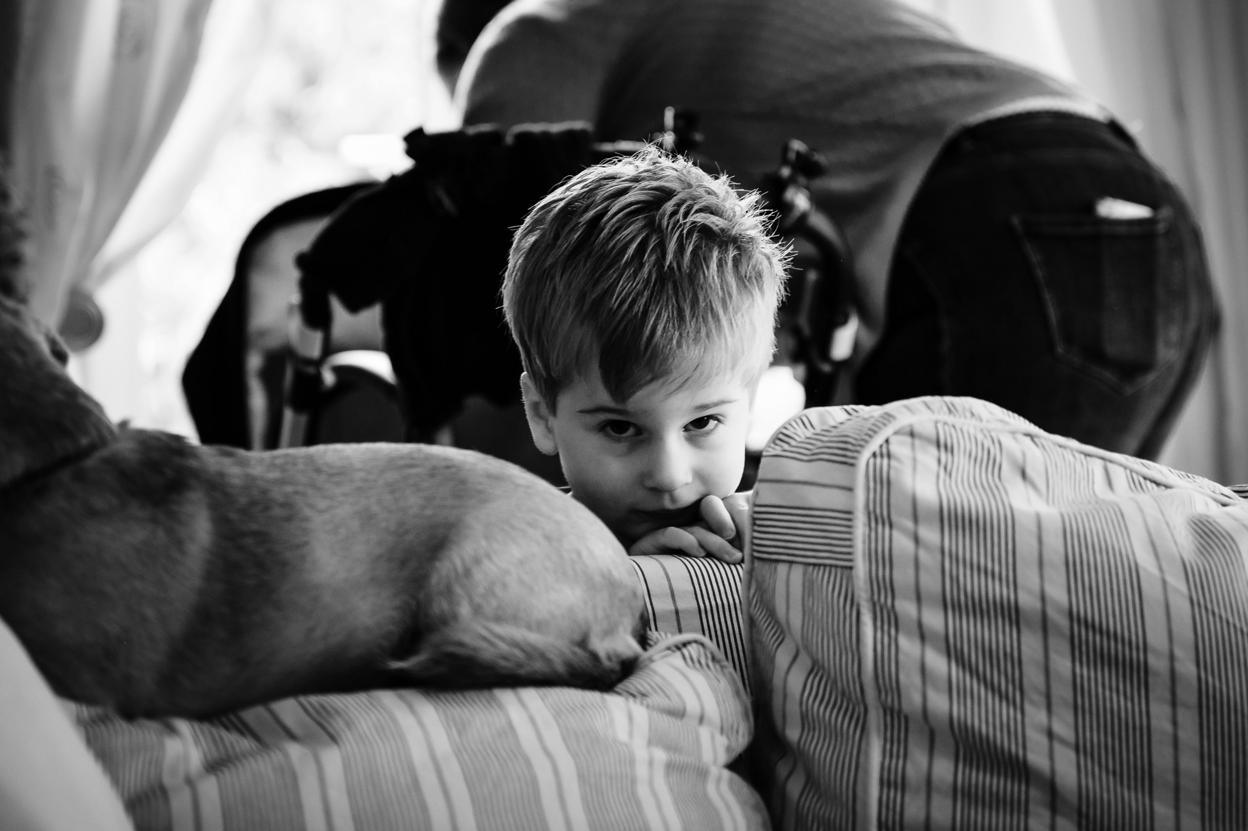Boy peeking over the sofa family photoshoot rutland