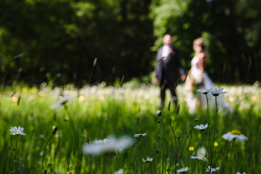 couple blurred in background with daisies in foreground at dibbins wood